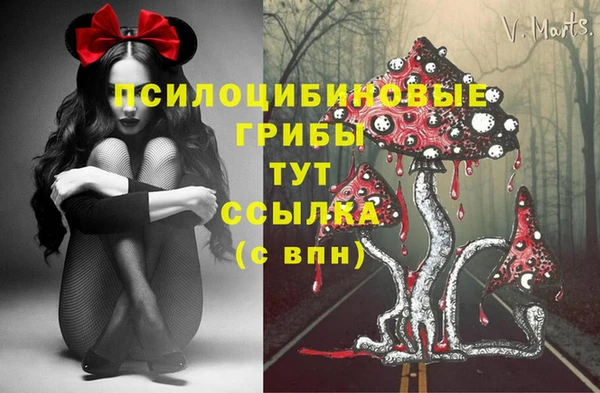 первитин Алексеевка