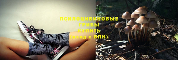 молекула духа Алексин