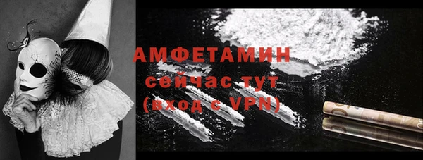 молекула духа Алексин