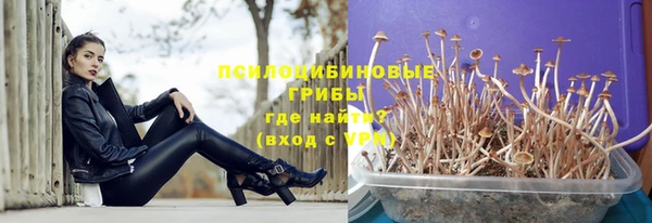 первитин Алексеевка