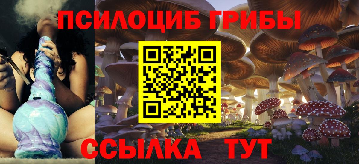 Галлюциногенные грибы Cubensis Избербаш