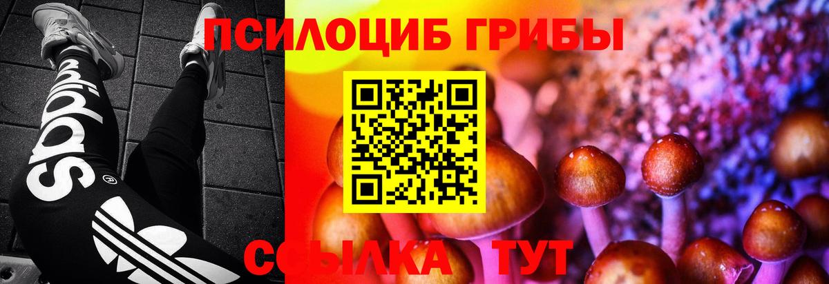 Избербаш  Галлюциногенные грибы MAGIC MUSHROOMS  Вход с VPN  как найти закладки  Галлюциногенные грибы Psilocybe 